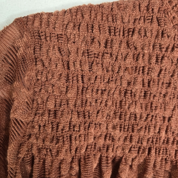 Anthropologie Deletta Amanna Rust Stretch Lace High Neck Blouse - Picture 11 of 15